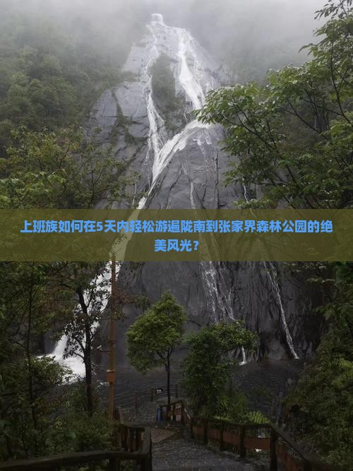 上班族如何在5天内轻松游遍陇南到张家界森林公园的绝美风光？