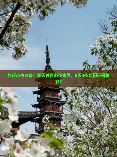 旅行小白必备！春天独自游张家界，5天4夜如何玩得精彩？