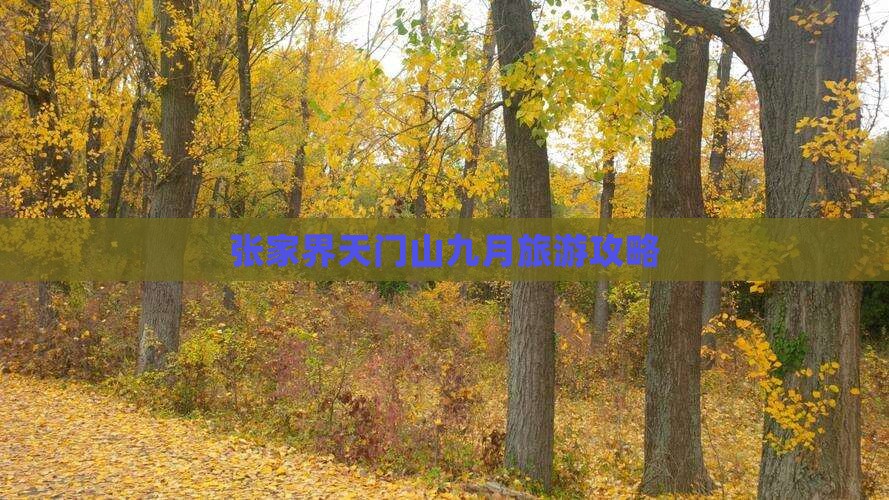 张家界天门山九月旅游攻略
