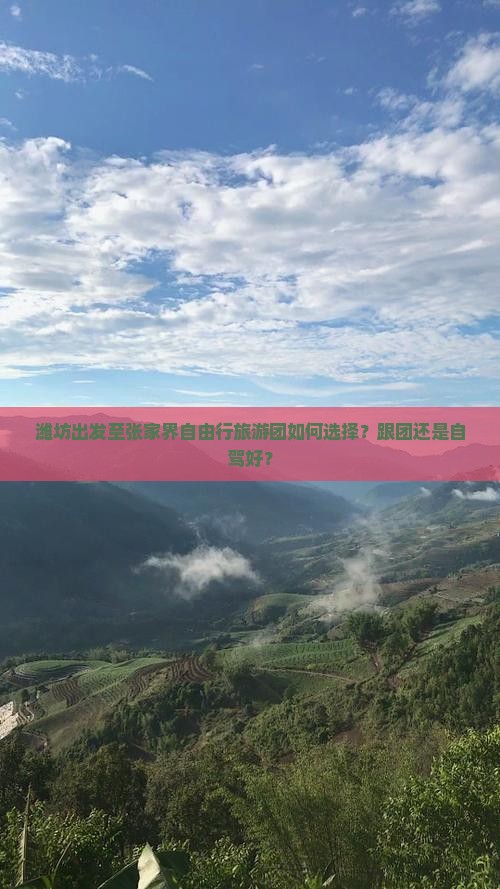 潍坊出发至张家界自由行旅游团如何选择？跟团还是自驾好？