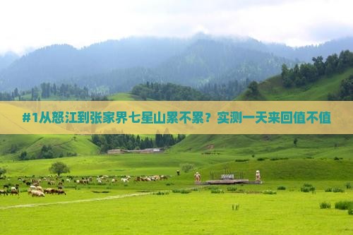 #1从怒江到张家界七星山累不累？实测一天来回值不值