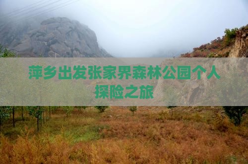 萍乡出发张家界森林公园个人探险之旅
