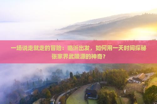 一场说走就走的冒险：临沂出发，如何用一天时间探秘张家界武陵源的神奇？