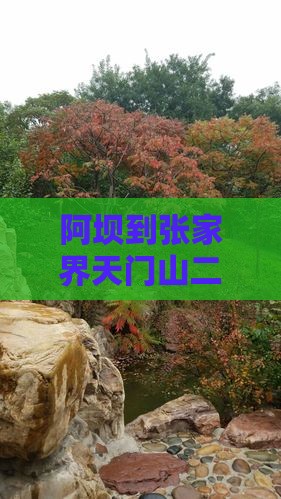阿坝到张家界天门山二日游报价及详细路线