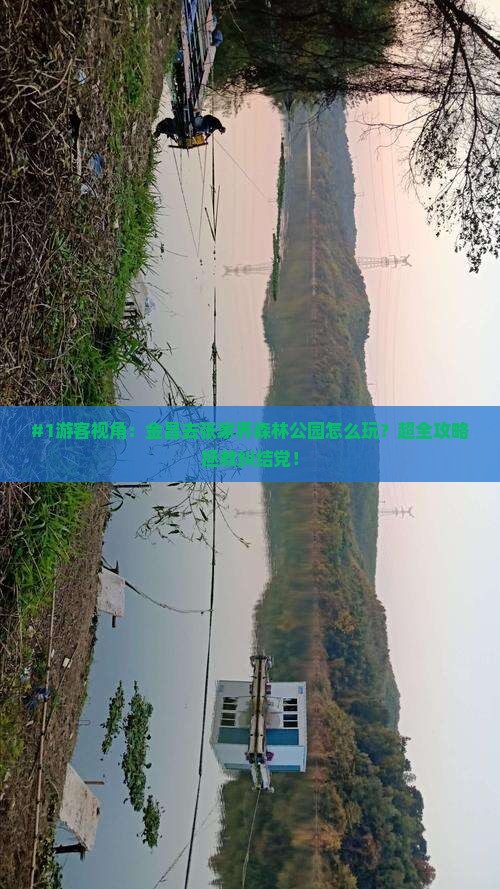 #1游客视角：金昌去张家界森林公园怎么玩？超全攻略拯救纠结党！