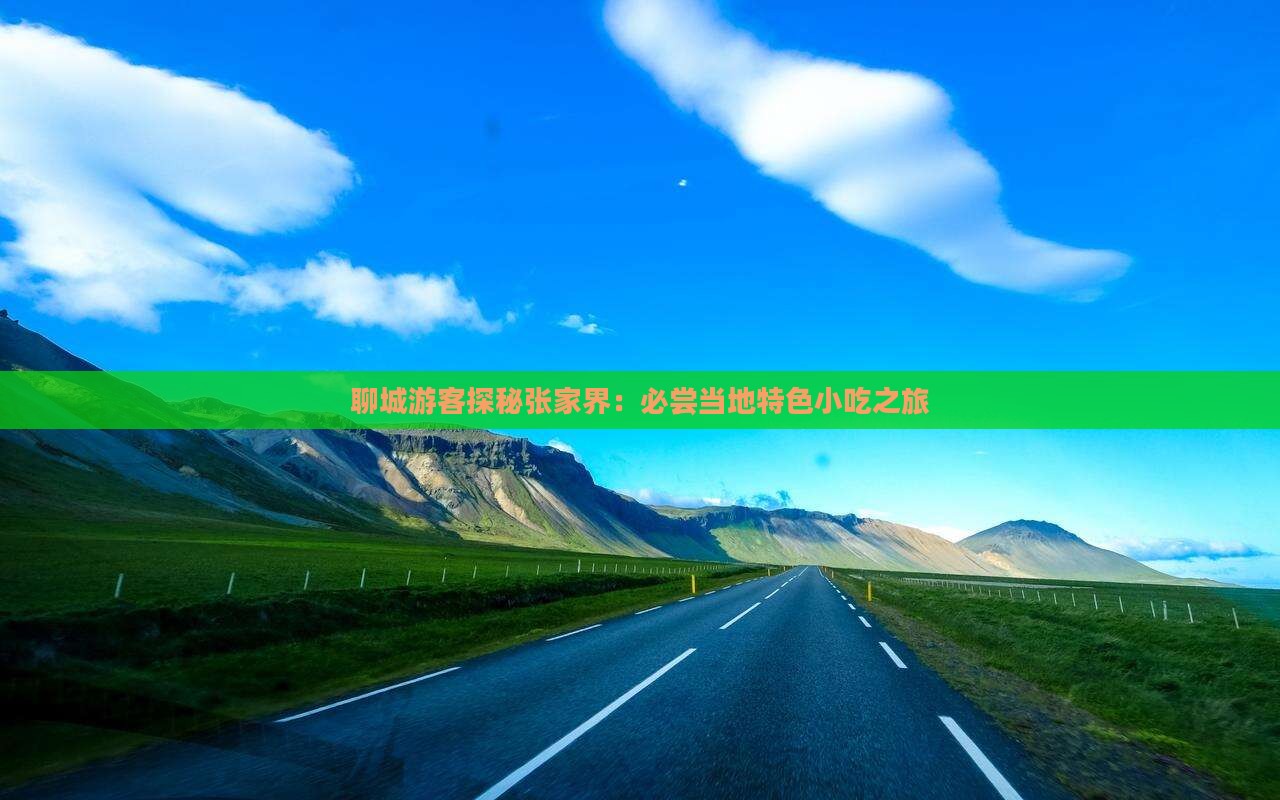 聊城游客探秘张家界：必尝当地特色小吃之旅