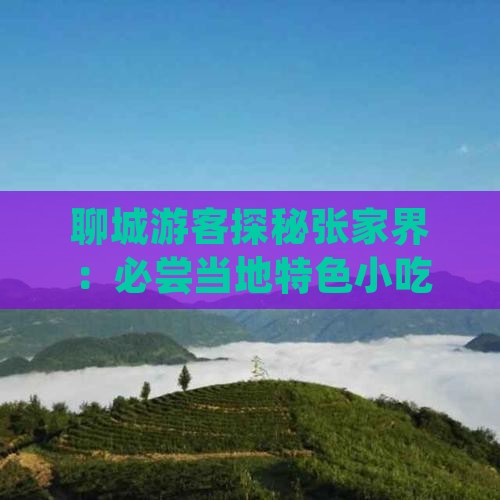 聊城游客探秘张家界：必尝当地特色小吃之旅