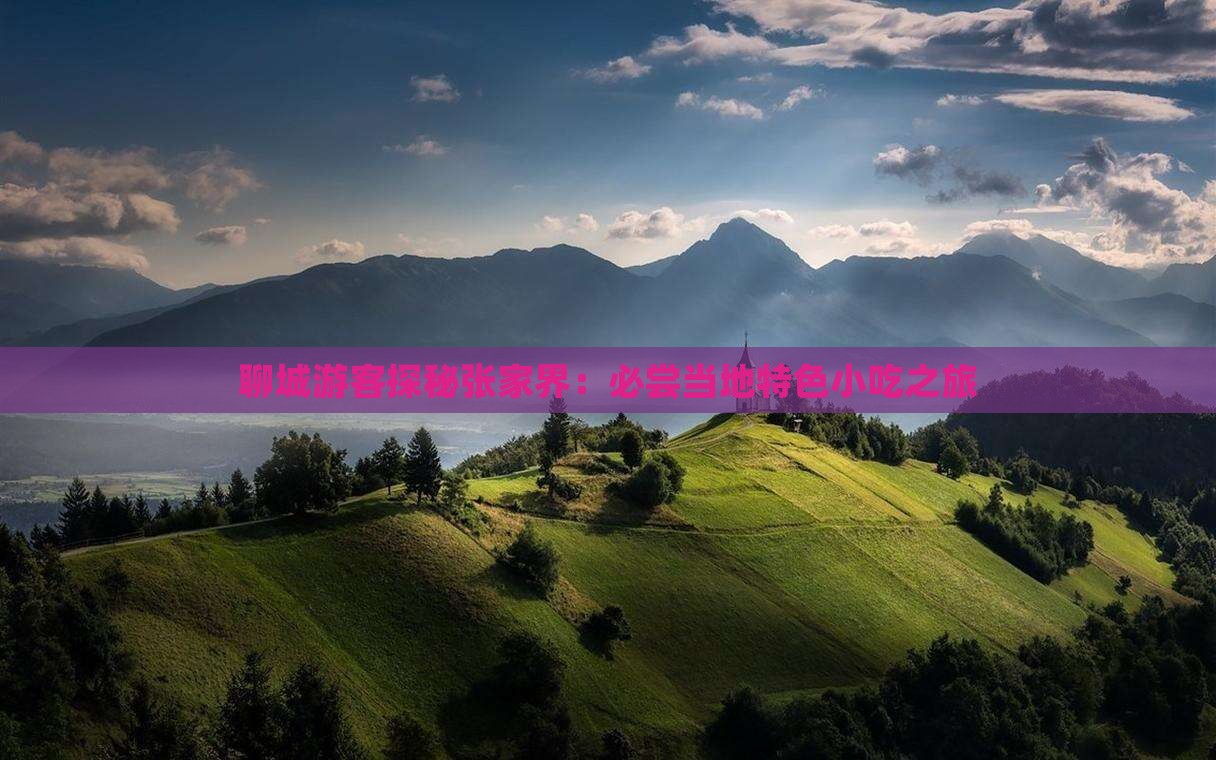 聊城游客探秘张家界：必尝当地特色小吃之旅