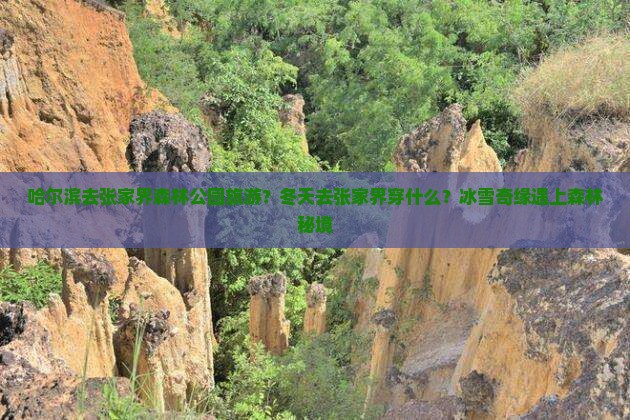 哈尔滨去张家界森林公园旅游？冬天去张家界穿什么？冰雪奇缘遇上森林秘境