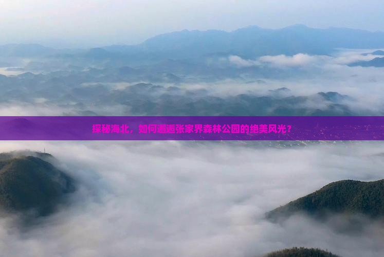 探秘海北，如何邂逅张家界森林公园的绝美风光？