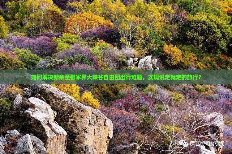 如何解决新余至张家界大峡谷自由团出行难题，实现说走就走的旅行？