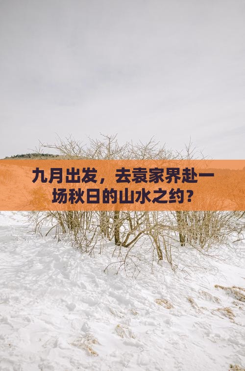 九月出发，去袁家界赴一场秋日的山水之约？