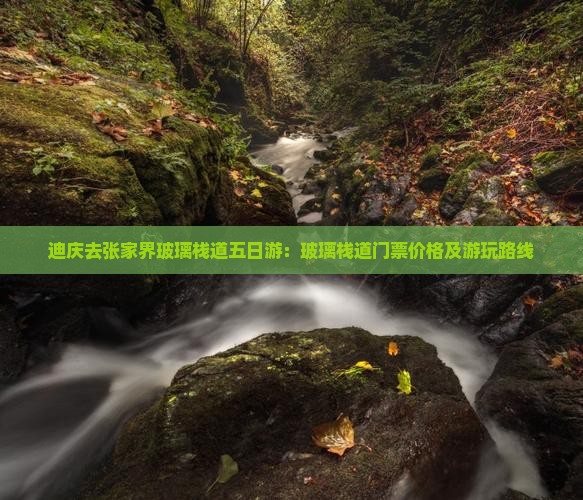 迪庆去张家界玻璃栈道五日游：玻璃栈道门票价格及游玩路线