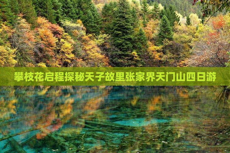 攀枝花启程探秘天子故里张家界天门山四日游