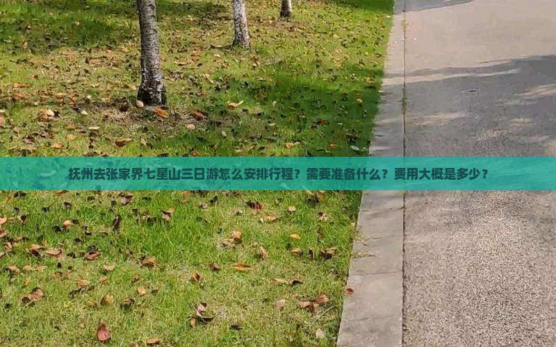 抚州去张家界七星山三日游怎么安排行程？需要准备什么？费用大概是多少？