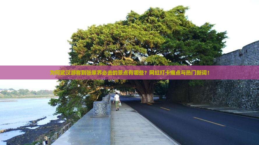 为何武汉游客到张家界必去的景点有哪些？网红打卡痛点与热门新词！