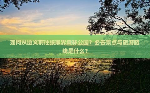 如何从遵义前往张家界森林公园？必去景点与旅游路线是什么？