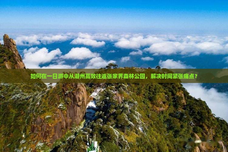 如何在一日游中从潮州高效往返张家界森林公园，解决时间紧张痛点？