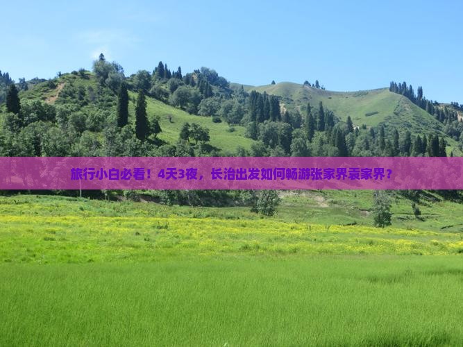 旅行小白必看！4天3夜，长治出发如何畅游张家界袁家界？