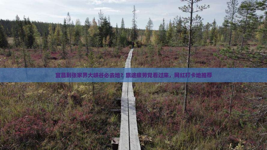 宜昌到张家界大峡谷必去地？旅途疲劳党看过来，网红打卡地推荐