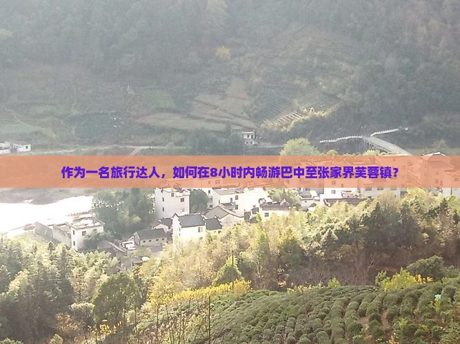 作为一名旅行达人，如何在8小时内畅游巴中至张家界芙蓉镇？