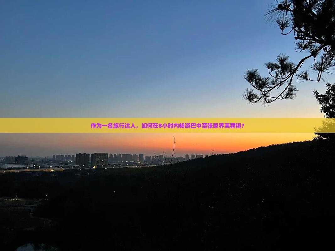 作为一名旅行达人，如何在8小时内畅游巴中至张家界芙蓉镇？