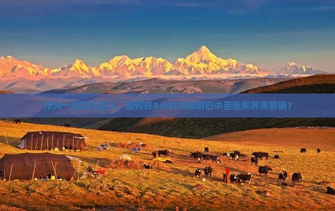 作为一名旅行达人，如何在8小时内畅游巴中至张家界芙蓉镇？