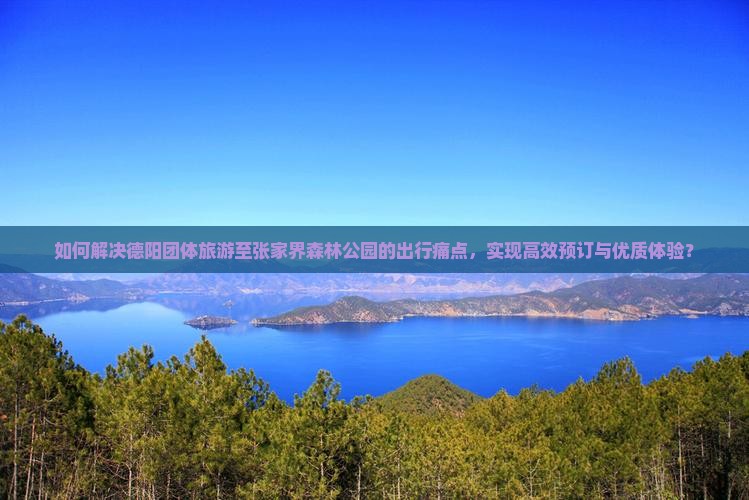 如何解决德阳团体旅游至张家界森林公园的出行痛点，实现高效预订与优质体验？