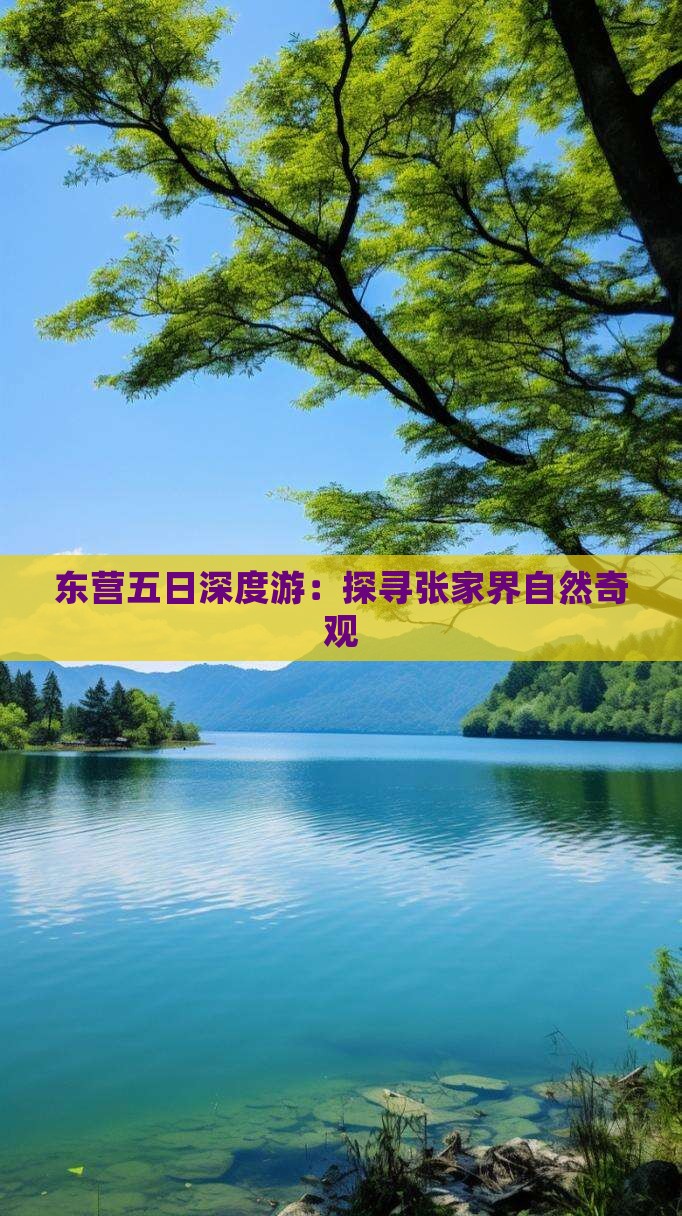东营五日深度游：探寻张家界自然奇观