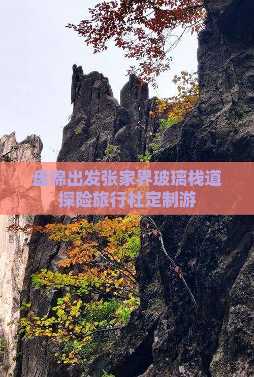 盘锦出发张家界玻璃栈道探险旅行社定制游