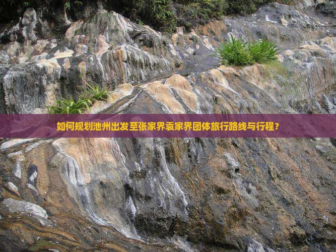 如何规划池州出发至张家界袁家界团体旅行路线与行程？