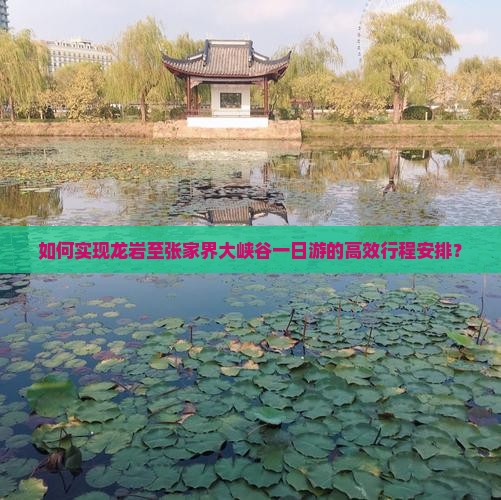 如何实现龙岩至张家界大峡谷一日游的高效行程安排？