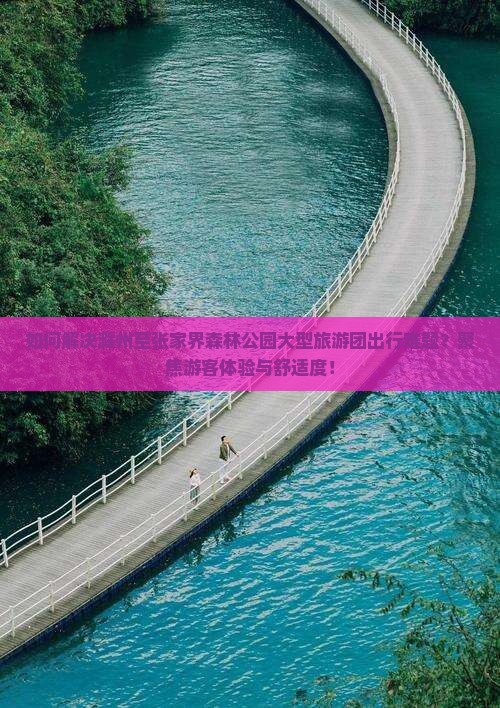 如何解决滁州至张家界森林公园大型旅游团出行难题？聚焦游客体验与舒适度！