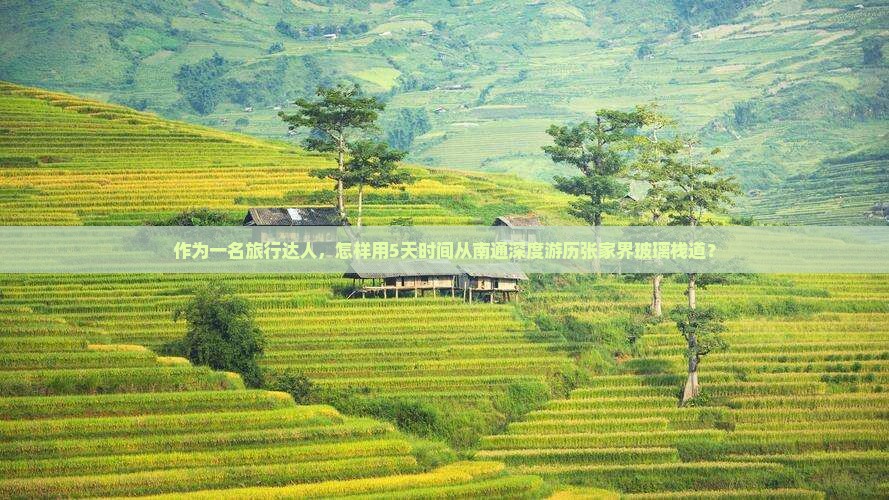 作为一名旅行达人，怎样用5天时间从南通深度游历张家界玻璃栈道？