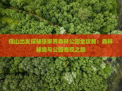 保山出发探秘张家界森林公园全攻略：森林秘境与公园奇观之旅