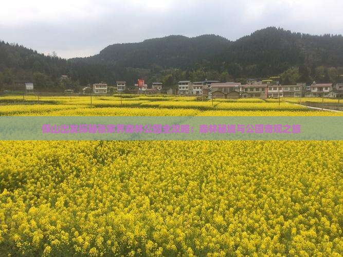 保山出发探秘张家界森林公园全攻略：森林秘境与公园奇观之旅