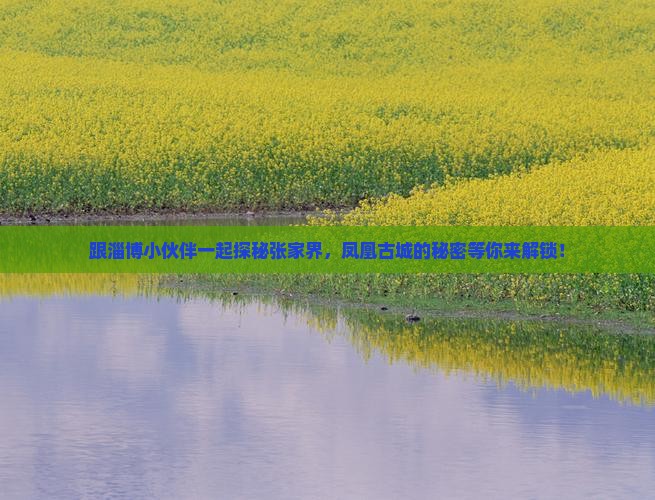 跟淄博小伙伴一起探秘张家界，凤凰古城的秘密等你来解锁！