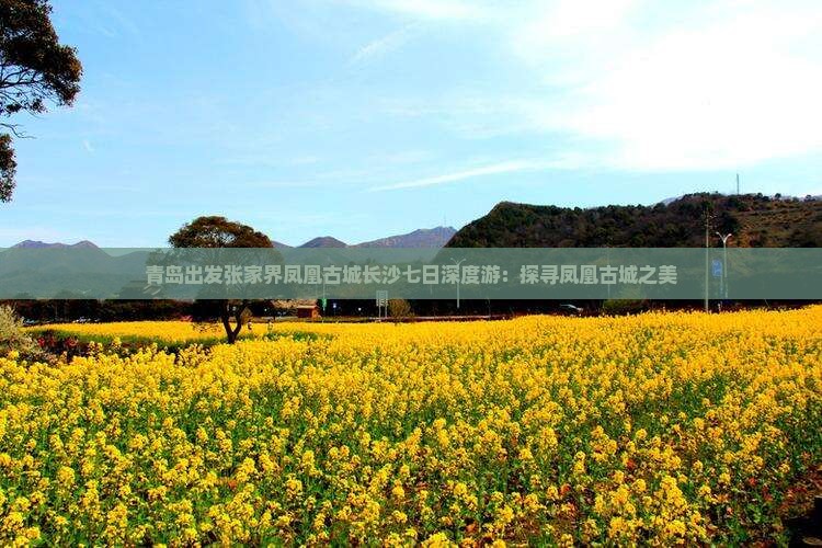 青岛出发张家界凤凰古城长沙七日深度游：探寻凤凰古城之美