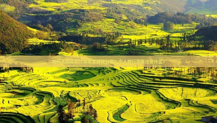 如何从鹤岗前往张家界森林公园？个人旅行需要注意什么？