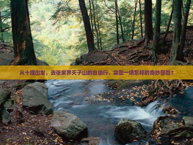 从十堰出发，去张家界天子山的自由行，会是一场怎样的奇妙冒险？