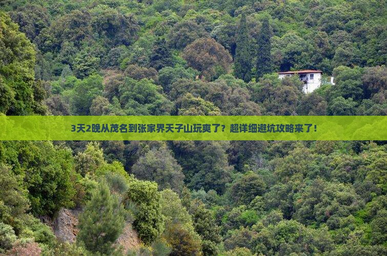3天2晚从茂名到张家界天子山玩爽了？超详细避坑攻略来了！