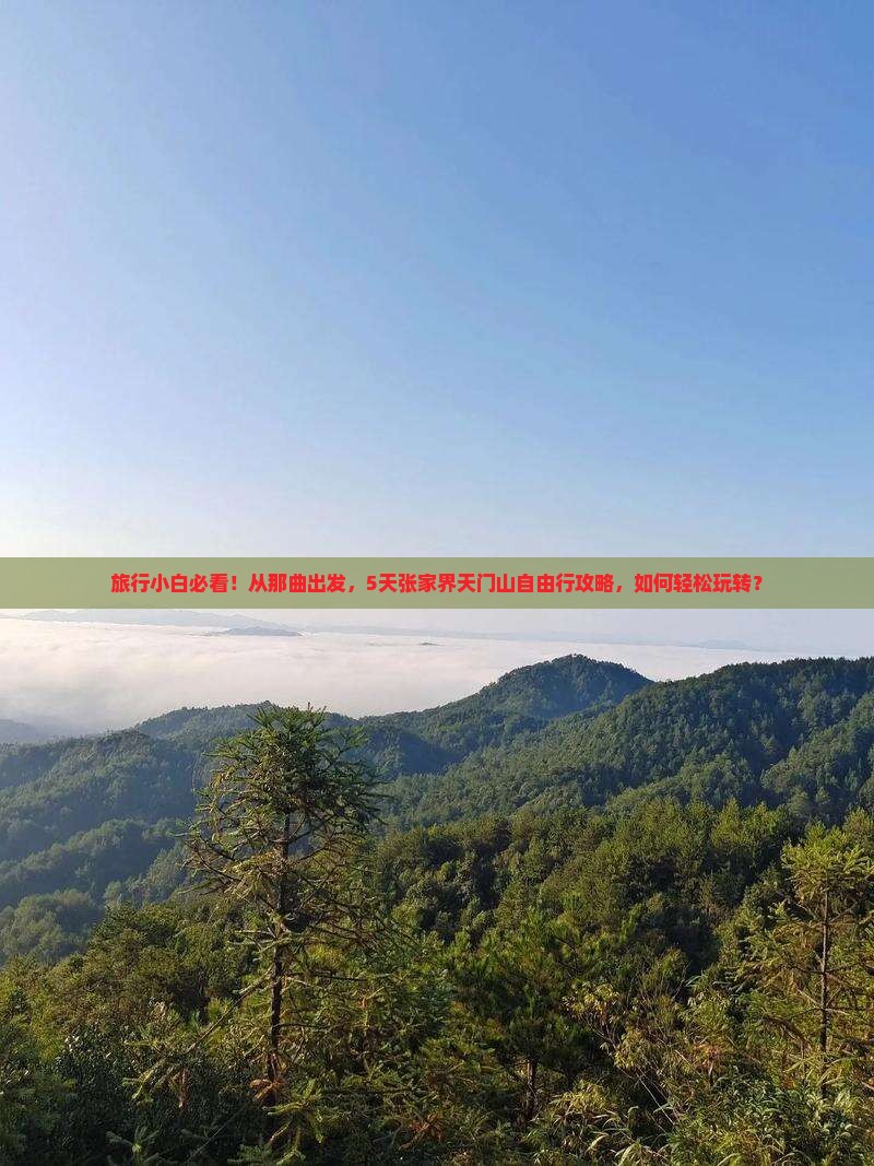 旅行小白必看！从那曲出发，5天张家界天门山自由行攻略，如何轻松玩转？