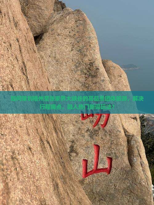 如何策划梧州至张家界大峡谷的高品质团体旅游，解决行程痛点，融入热门新词玩法？