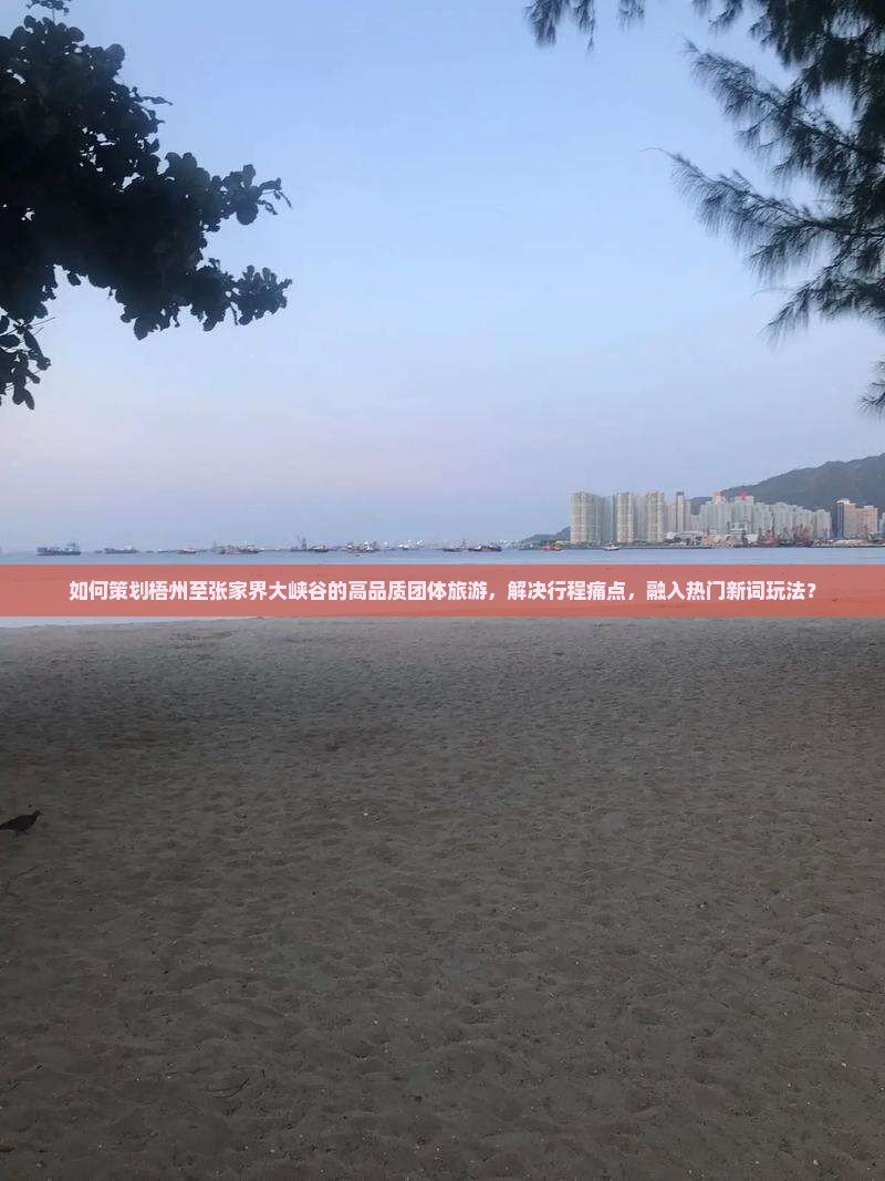 如何策划梧州至张家界大峡谷的高品质团体旅游，解决行程痛点，融入热门新词玩法？