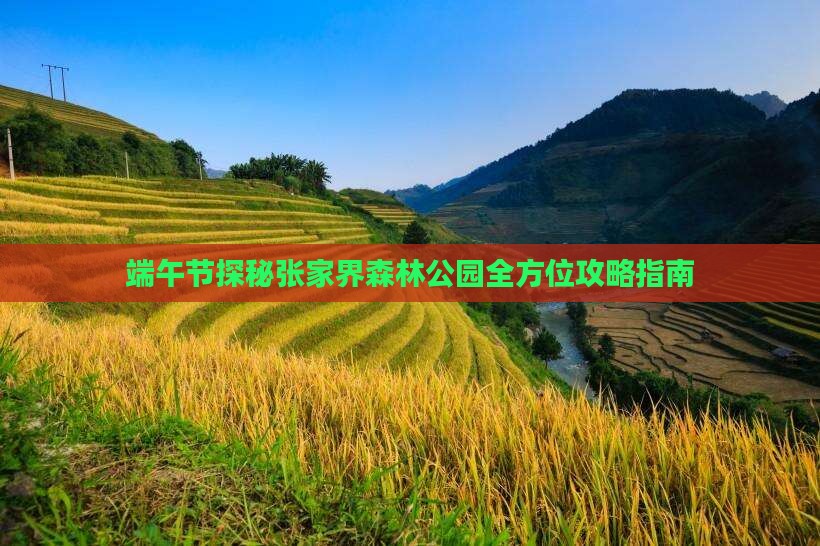 端午节探秘张家界森林公园全方位攻略指南
