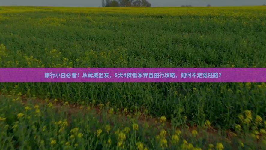 旅行小白必看！从武威出发，5天4夜张家界自由行攻略，如何不走冤枉路？