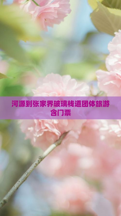 河源到张家界玻璃栈道团体旅游含门票