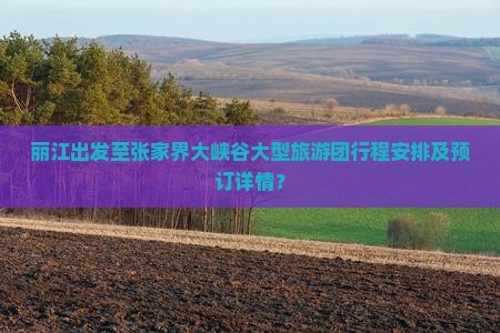 丽江出发至张家界大峡谷大型旅游团行程安排及预订详情？