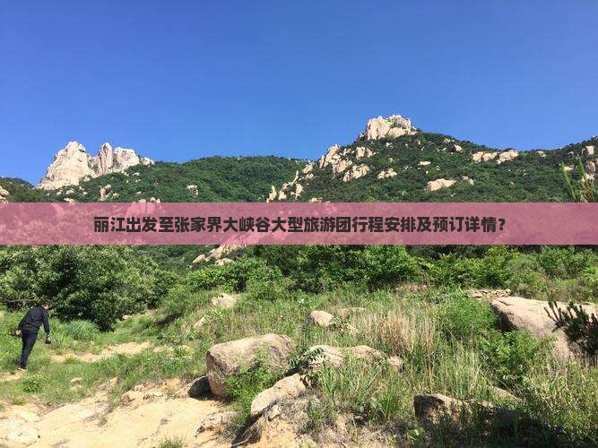 丽江出发至张家界大峡谷大型旅游团行程安排及预订详情？
