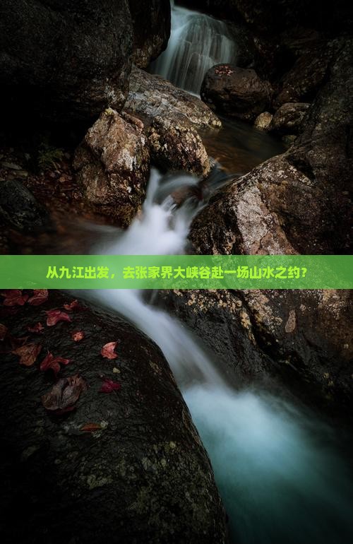 从九江出发，去张家界大峡谷赴一场山水之约？